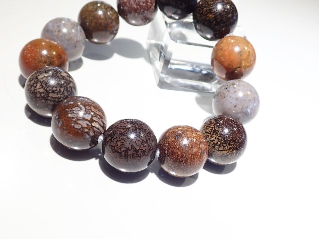 ダイナソーボーン