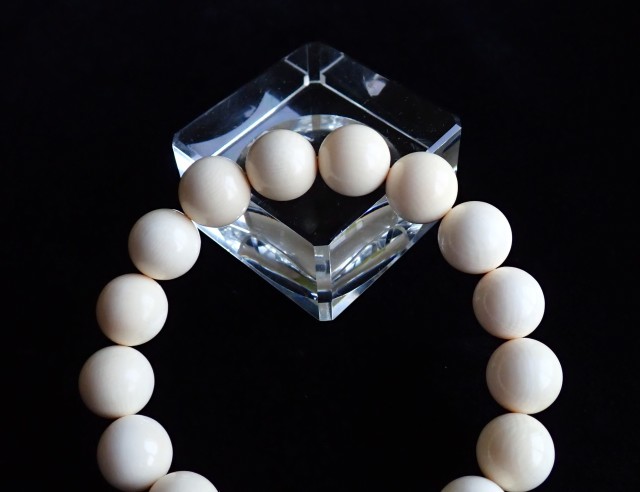 マンモス・アイボリー