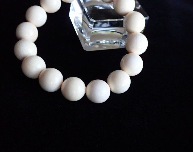 MJ0017 【限定価格】 ☆当店初入荷☆ マンモス 牙（マンモス