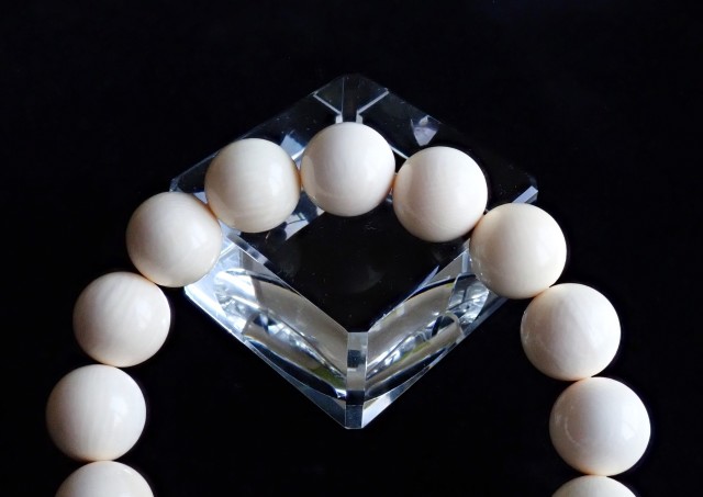 MJ0017 【限定価格】 ☆当店初入荷☆ マンモス 牙（マンモス