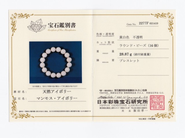 MJ0017 【限定価格】 ☆当店初入荷☆ マンモス 牙（マンモス