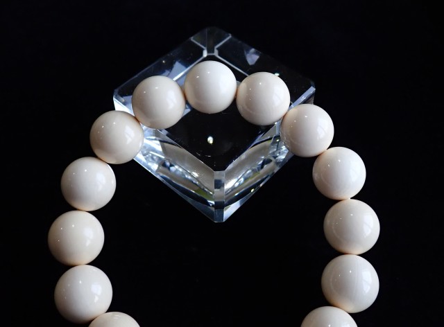 マンモス・アイボリー