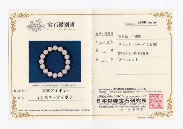 マンモス・アイボリー