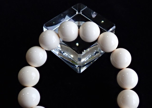 マンモス・アイボリー