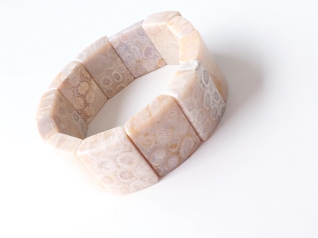 フォッシルコーラル