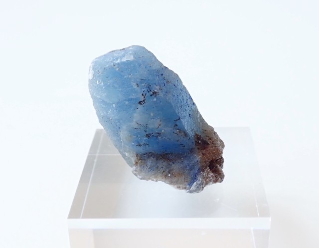自然石 水石 約20cm ADA