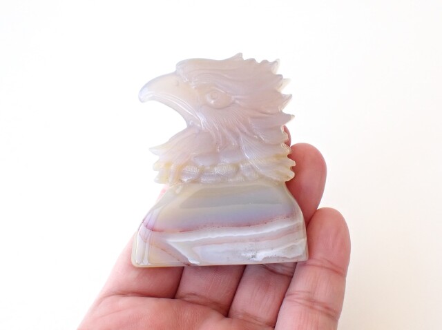 アゲートホークス