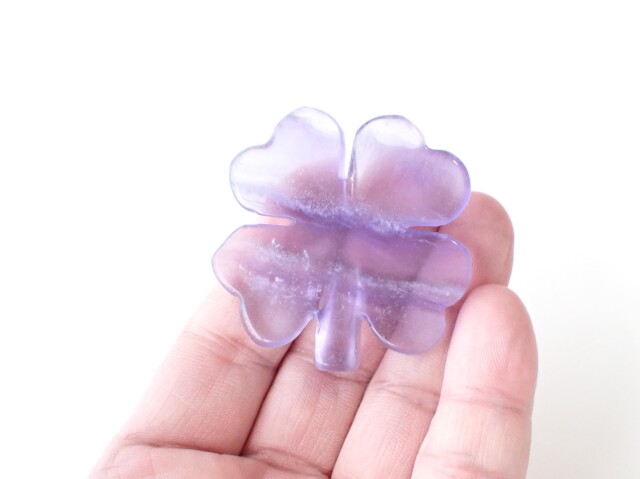 フローライトクローバー