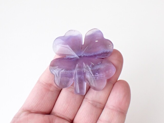 フローライトクローバー