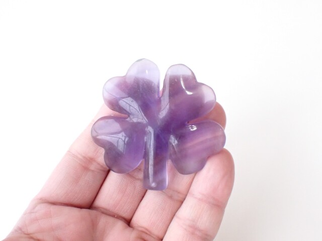 フローライトクローバー