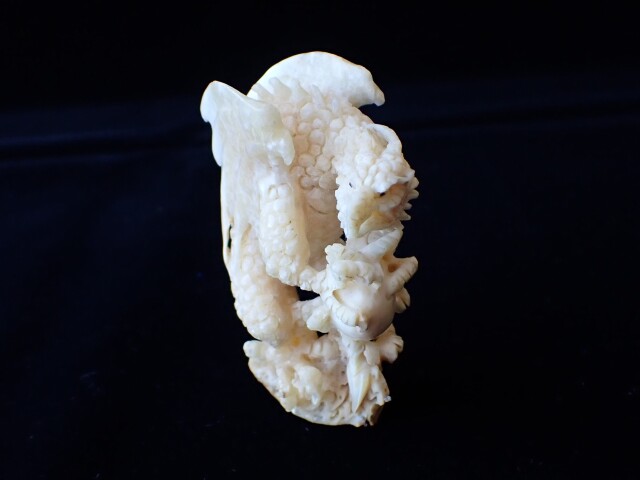 マンモスアイボリードラゴン