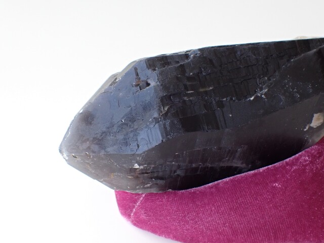 ウクライナ産モリオン