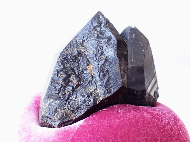 ウクライナ産モリオン