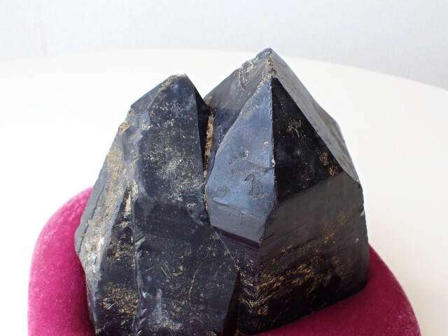 ウクライナ産モリオン