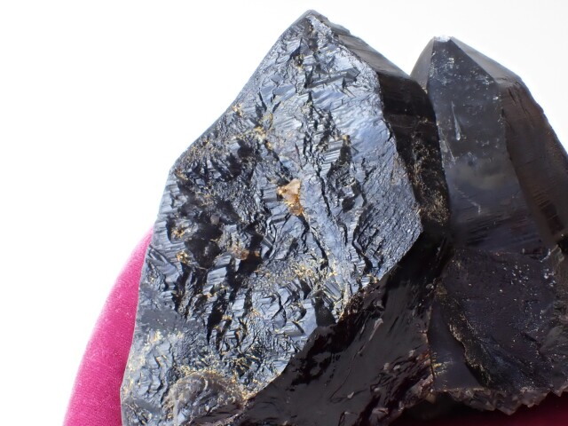 ウクライナ産モリオン