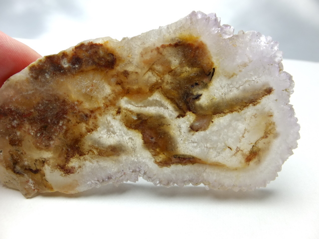 ブッケンハートジャスパー　スラブ