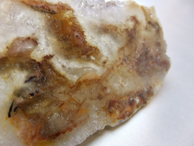 ブッケンハートジャスパー　スラブ