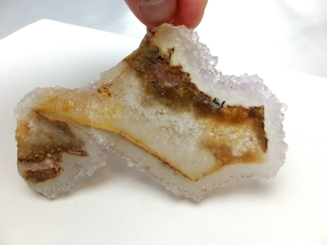 ブッケンハートジャスパー　スラブ