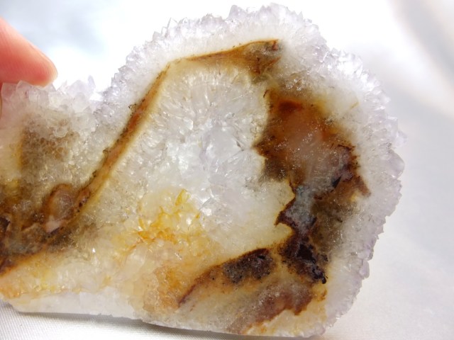 ブッケンハートジャスパー　スラブ