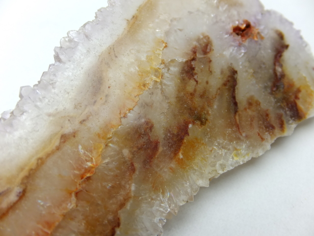 ブッケンハートジャスパー　スラブ