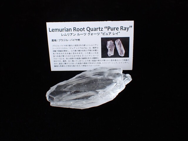 Lemurian Seed 