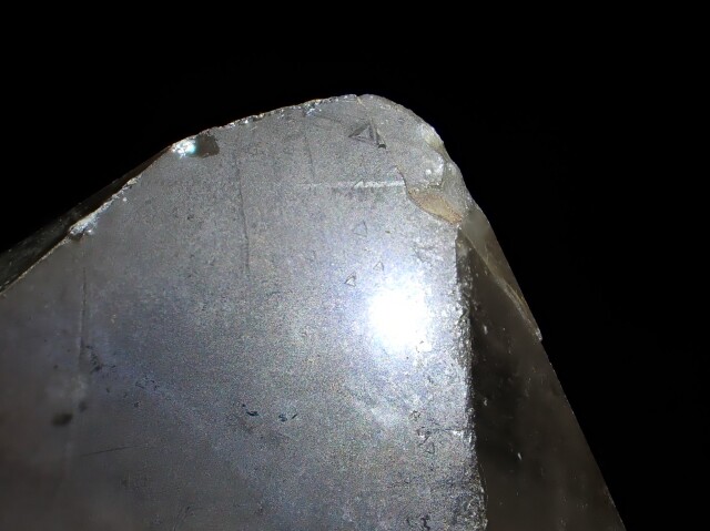 マスターウラルレムリアン