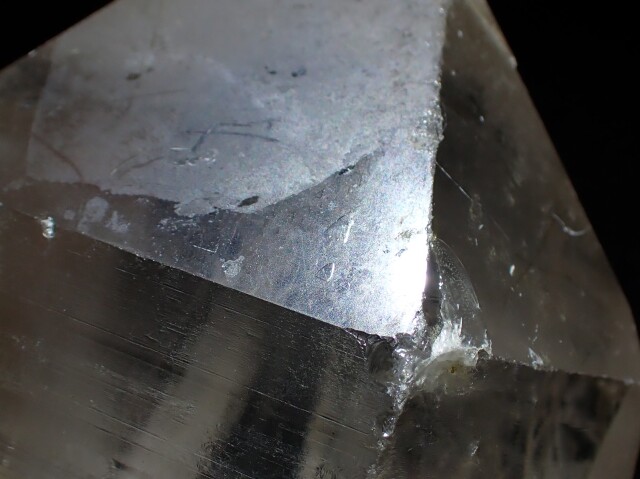 マスターウラルレムリアン