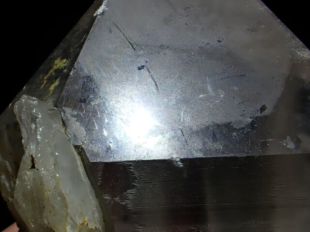 マスターウラルレムリアン