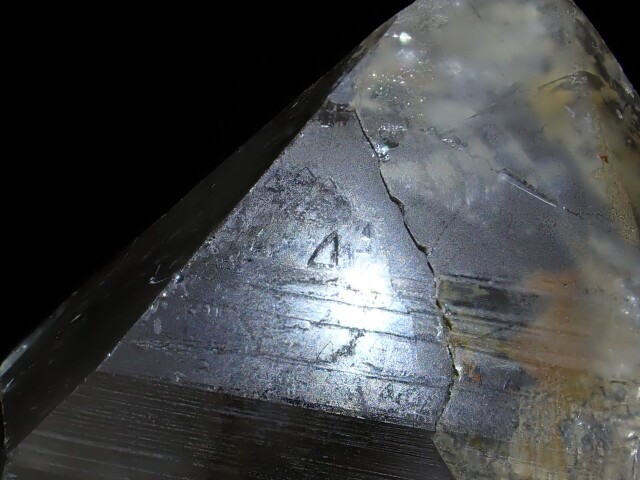 マスターウラルレムリアン