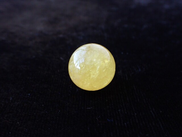 ゴールデンダンビュライト