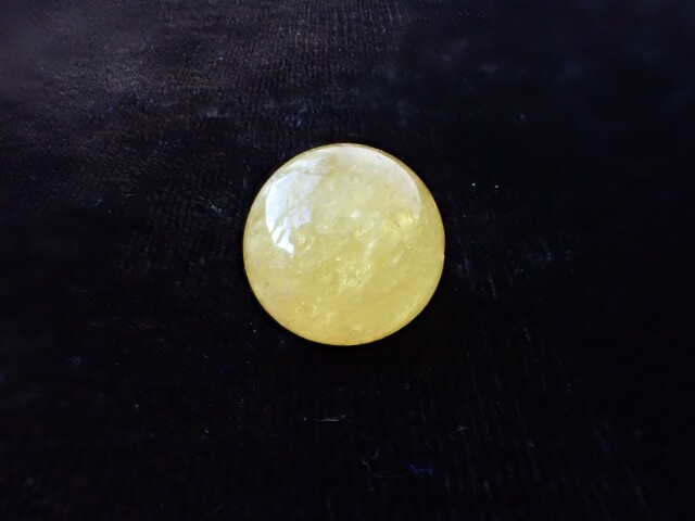 ゴールデンダンビュライト