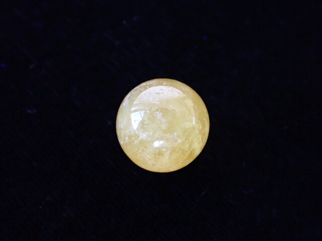 ゴールデンダンビュライト