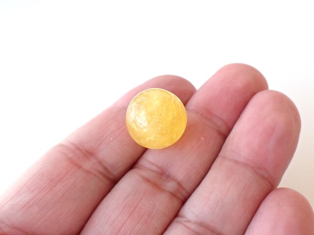 ゴールデンダンビュライト