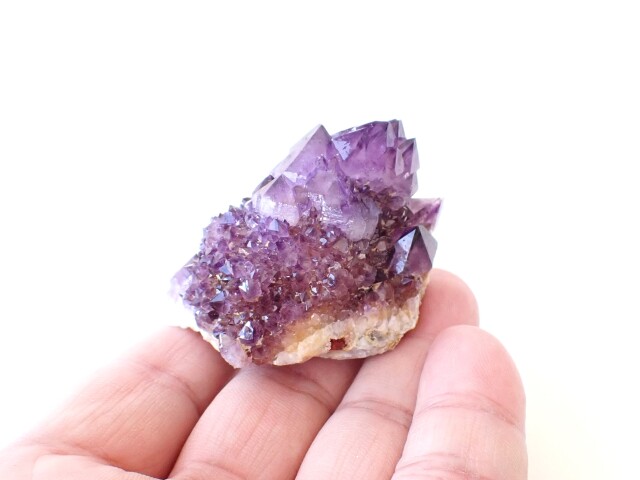 カクタスアメジスト