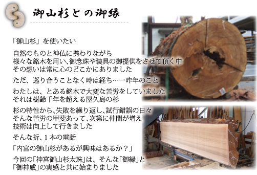 御山杉