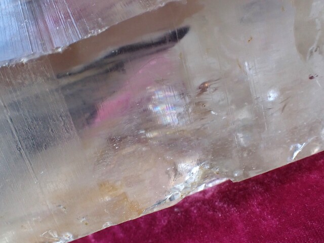 マスターウラルレムリアン