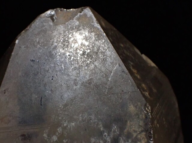 マスターウラルレムリアン