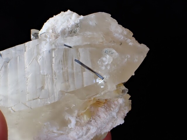 亀型（シトリン） シトリン