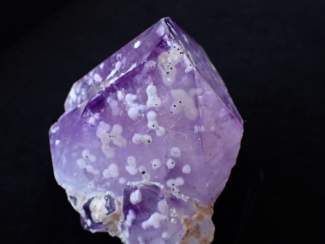 アメジストのとげ　foil アメジストのとげ/Thorn of Amethyst》[LRW] 茶R | 日本最大級