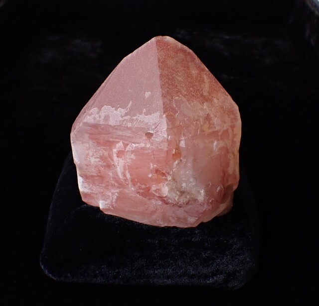CMH50127.JPG