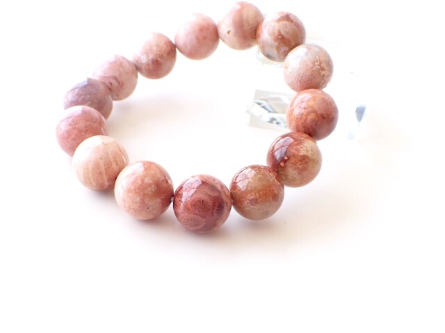 フォッシルコーラル