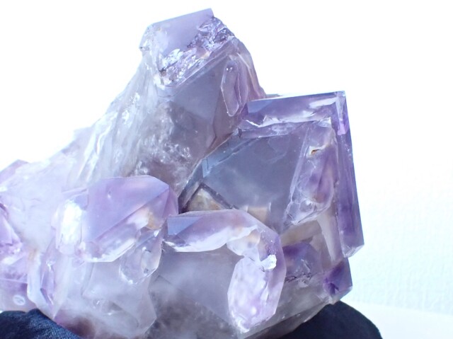 シリウスアメジスト