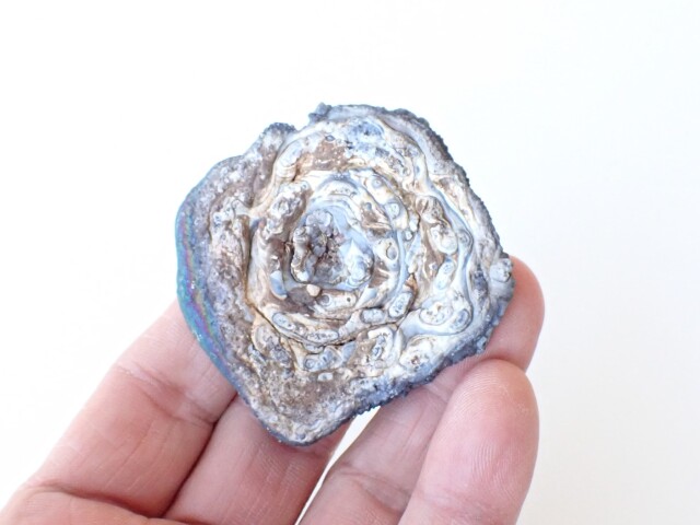 カルセドニーローズ