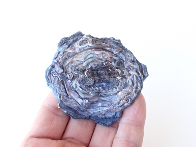 カルセドニーローズ