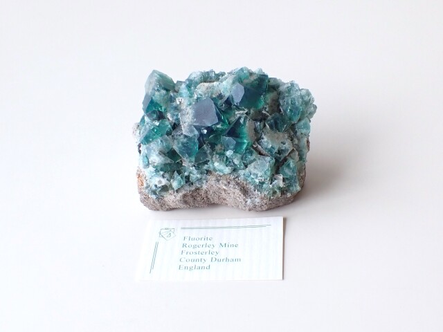 ロジャリー鉱山産フローライト