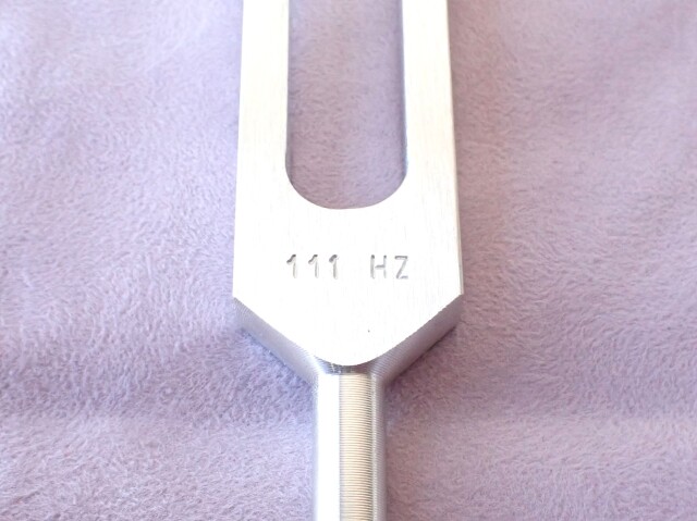 バイオソニックス社メディテーションチューナー