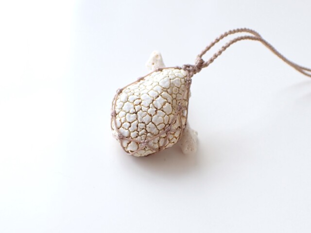 タートルアゲート