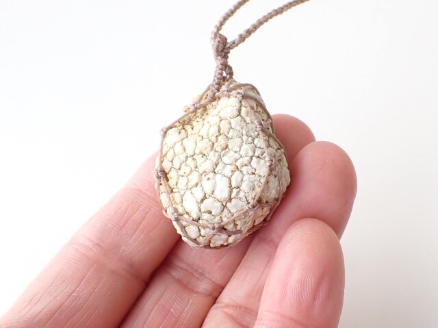 タートルアゲート