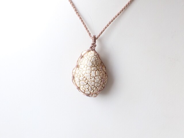 タートルアゲート