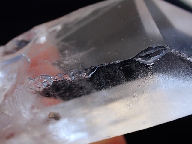 ライトニングレムリアン